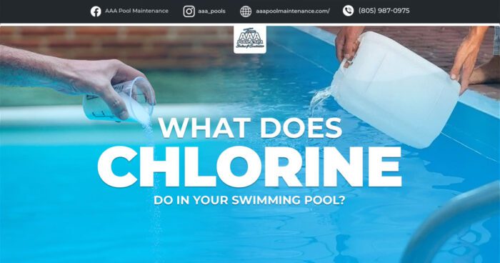 What does chlorine do in your swimming pool?